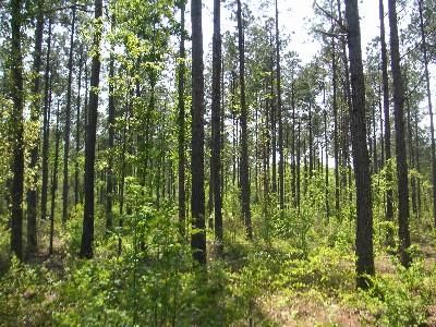 Property in Grant County, Arkansas