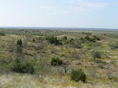Property in Mitchell County, Texas