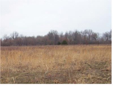 Property in Red River County, Texas