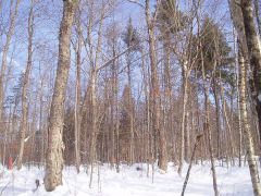 Property in Somerset County, Maine