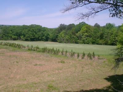 Property in Jackson County, Alabama