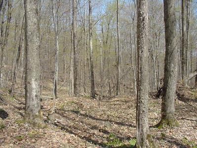 Property in Franklin County, Vermont