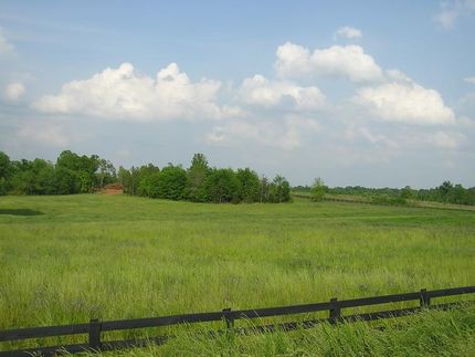 Property in York County, South Carolina