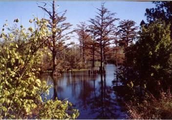 Property in Jackson County, Arkansas