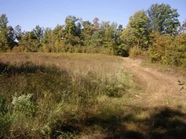 Property in Lauderdale County, Tennessee