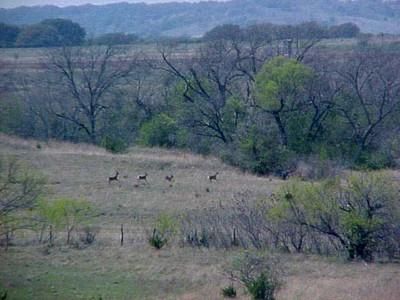 Property in Coryell County, Texas