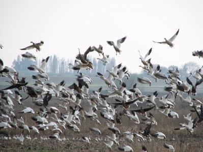 Property in San Joaquin County, California