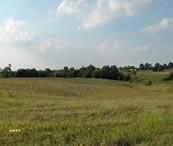 Property in Henry County, Kentucky