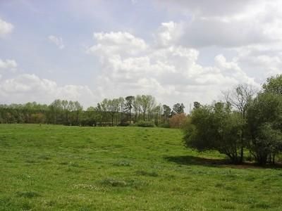 Property in Marion County, Alabama