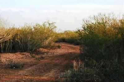 Property in Medina County, Texas