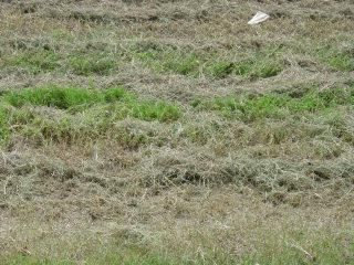 Property in Hidalgo County, Texas