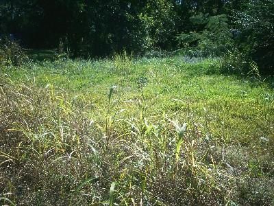 Property in Harris County, Texas