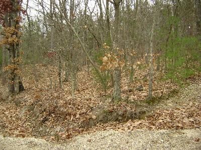 Property in DeKalb County, Alabama