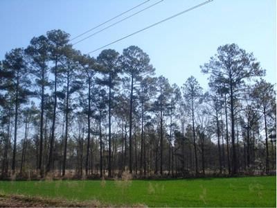 Property in Colleton County, South Carolina