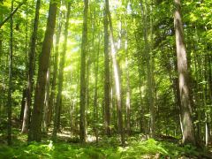 Property in Belknap County, New Hampshire