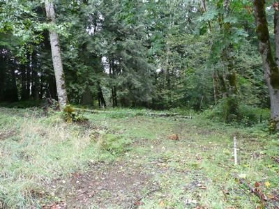 Property in King County, Washington