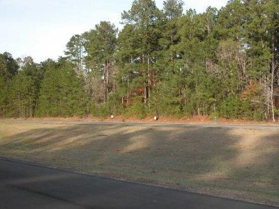 Property in Grant Parish, Louisiana