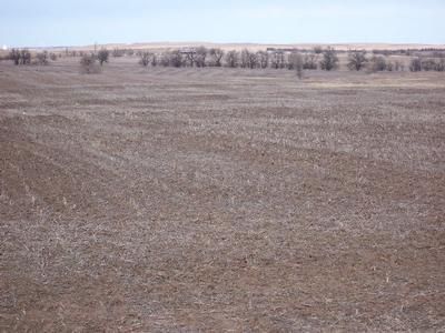 Property in Ottawa County, Kansas