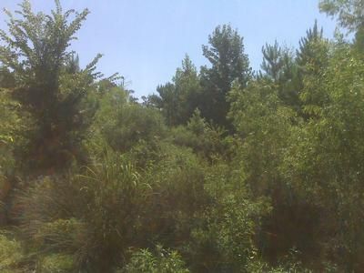 Property in Jackson Parish, Louisiana