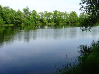 Property in Saint Lawrence County, New York