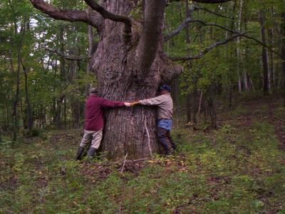 Property in Oakland County, Michigan