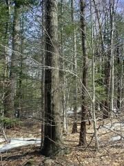 Property in Saratoga County, New York