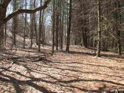 Property in Washington County, New York