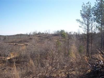 Property in Winston County, Alabama