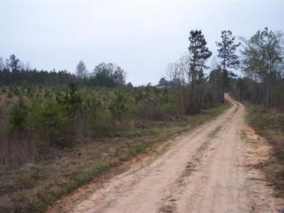 Property in Cleburne County, Alabama