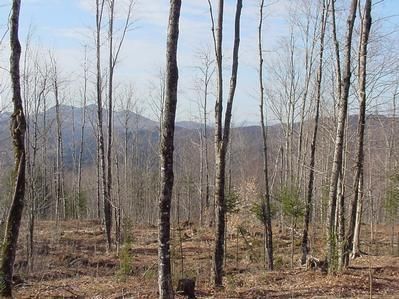 Property in Essex County, Vermont