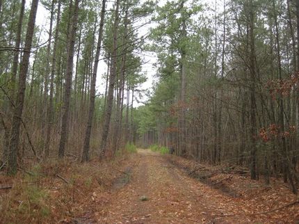 Property in Greensville County, Virginia