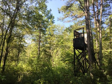 Property in Colleton County, South Carolina