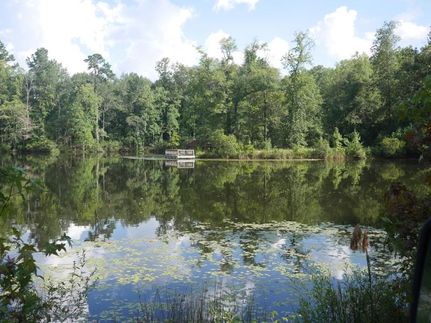 Property in Burke County, Georgia