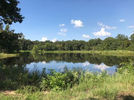 Property in Franklin County, Texas