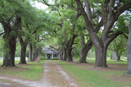 Property in Orangeburg County, South Carolina