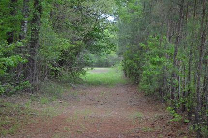 Property in Williamsburg County, South Carolina