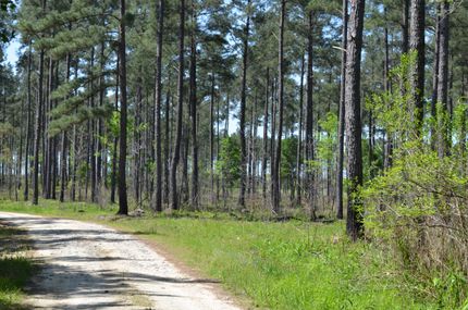 Property in Georgetown County, South Carolina