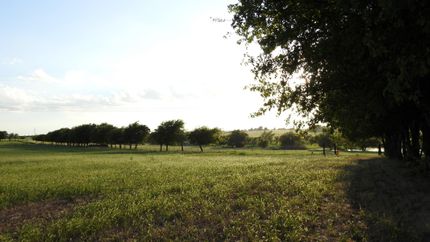 Property in Bell County, Texas