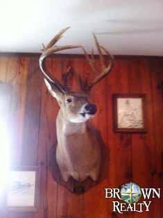 Property in Lincoln Parish, Louisiana