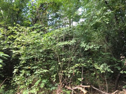 Property in Talladega County, Alabama