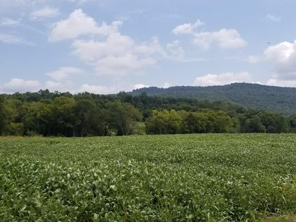 Property in Franklin County, Tennessee