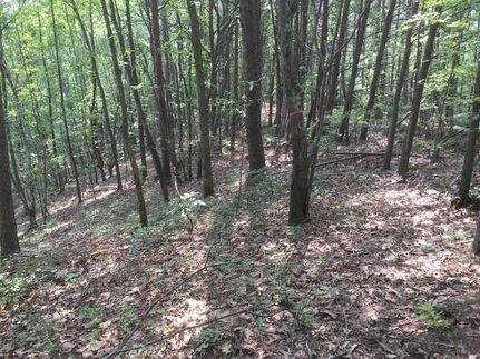 Property in Jefferson County, Alabama