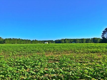 Property in Baldwin County, Alabama