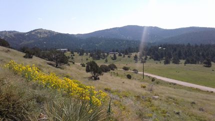 Property in Custer County, Colorado