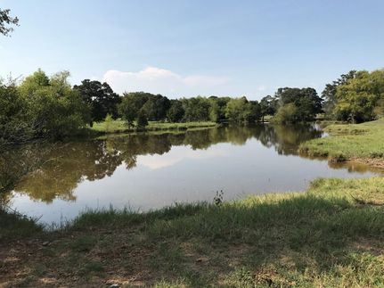 Property in Milam County, Texas
