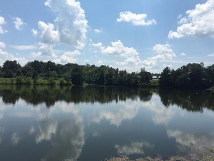 Property in Calhoun County, Alabama