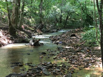 Property in Clay County, Alabama