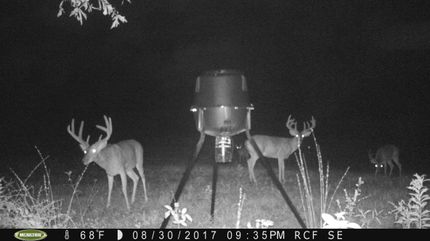 Property in Yazoo County, Mississippi