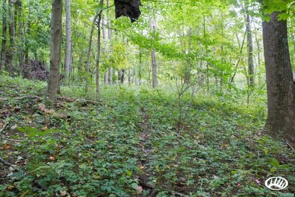 Property in Belmont County, Ohio