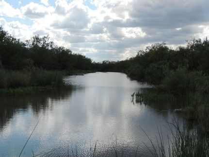 Property in Runnels County, Texas